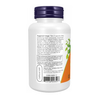 DGL with Aloe Vera - 100 vcaps