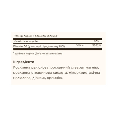 Vitamin B6 100mg - 100 vcaps Vitamin B6 100mg - 100 vcaps