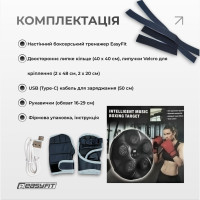 Боксерський тренажер EasyFit настінний музичний з підсвіткою Боксерський тренажер EasyFit настінний музичний з підсвіткою