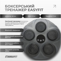 Боксерський тренажер EasyFit настінний музичний з підсвіткою Боксерський тренажер EasyFit настінний музичний з підсвіткою