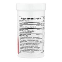 Immune Probiotic 10 Billion CFU - 30 caps Immune Probiotic 10 Billion CFU - 30 caps