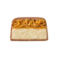 Space Bite - 10x45g Coconut Mango Space Bite - 10x45g Coconut Mango