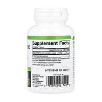 Lactase Enzyme - 60 caps Lactase Enzyme - 60 caps