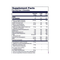 Focus-Saurus - 30 chewables Grape Focus-Saurus - 30 chewables Grape