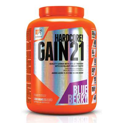 Hardcore Gain21 - 3000g Blueberry Hardcore Gain21 - 3000g Blueberry
