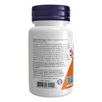 CoQ10 100mg - 90 vcaps CoQ10 100mg - 90 vcaps