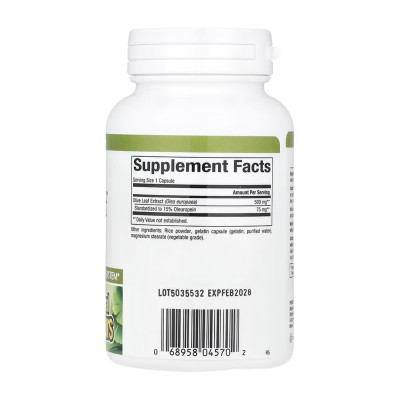 Olive Leaf 500mg - 90 caps Olive Leaf 500mg - 90 caps