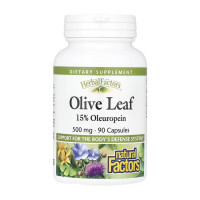 Olive Leaf 500mg - 90 caps Olive Leaf 500mg - 90 caps