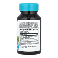 Artichoke Supports Digestion - 60 vcaps Artichoke Supports Digestion - 60 vcaps