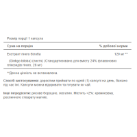 Ginkgo Biloba Standardized Extract 120mg - 100caps Ginkgo Biloba Standardized Extract 120mg - 100caps