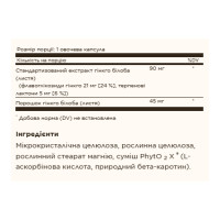 SFP Ginkgo Biloba Leaf Extract - 180 vcaps SFP Ginkgo Biloba Leaf Extract - 180 vcaps