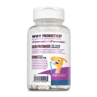 Dino-Dophilus™ Kids Probiotic - 60 chewables Black Cherry Dino-Dophilus™ Kids Probiotic - 60 chewables Black Cherry