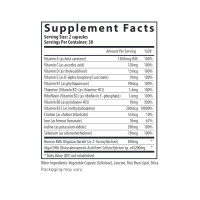 Postnatal Multivitamin Essentials with DHA - 60 caps Postnatal Multivitamin Essentials with DHA - 60 caps