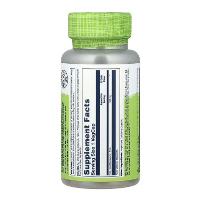 Rose Hips Fruit 550mg - 100 vcaps Rose Hips Fruit 550mg - 100 vcaps