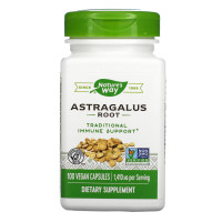 Astragalus Root - 100 vcaps Astragalus Root - 100 vcaps