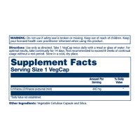 Echinacea Purpurea Root 440mg - 100 vcaps Echinacea Purpurea Root 440mg - 100 vcaps