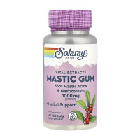 Mastic Gum Extract 500mg - 45 vcaps Mastic Gum Extract 500mg - 45 vcaps
