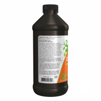 Chlorophyll Liquid Mint - 16 oz Chlorophyll Liquid Mint - 16 oz