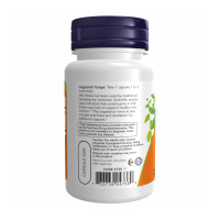 Silymarin Milk Thistle 300mg - 100 vcaps Silymarin Milk Thistle 300mg - 100 vcaps