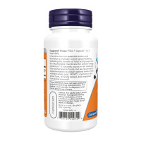 L-Carnitine 500mg - 60 vcaps L-Carnitine 500mg - 60 vcaps