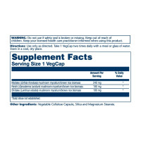 Mushroom Immune Complex 600mg - 100 vcaps Mushroom Immune Complex 600mg - 100 vcaps